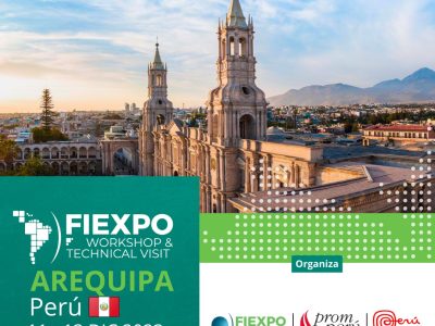 AREQUIPA Será Sede DelFIEXPO Workshop & Technical Visit