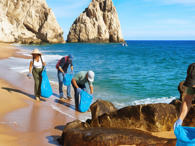 Esencial Costa Rica Impulsa Limpieza De Playas En La Paz
